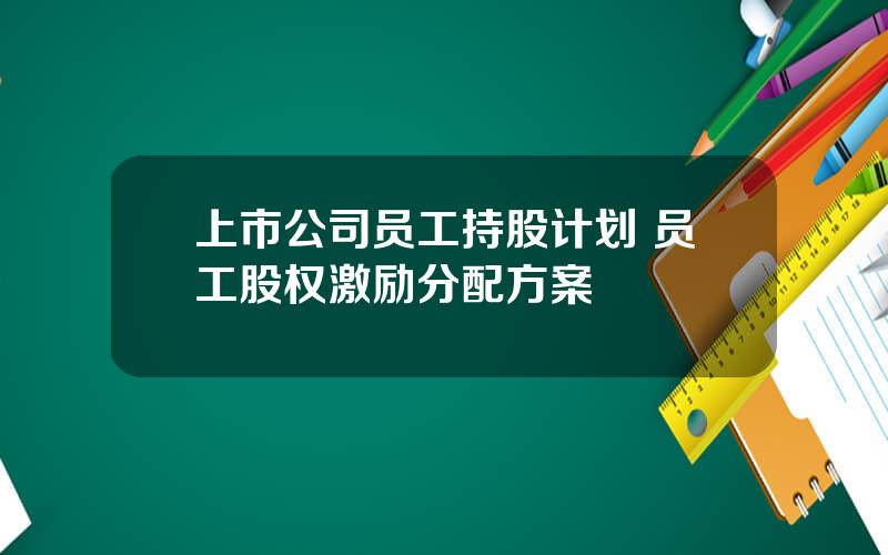 上市公司员工持股计划 员工股权激励分配方案